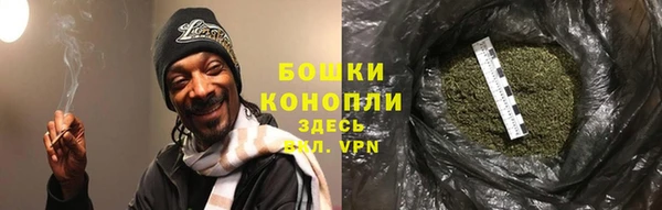 дурь Белокуриха