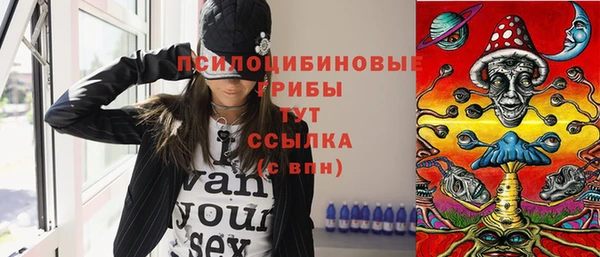 дурь Белокуриха