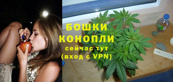 дурь Белокуриха