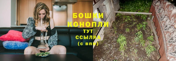 дурь Белокуриха