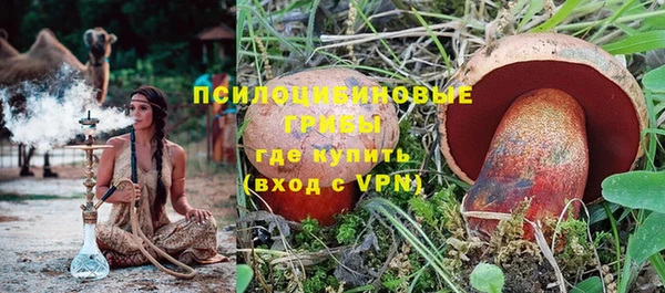 трава Беломорск